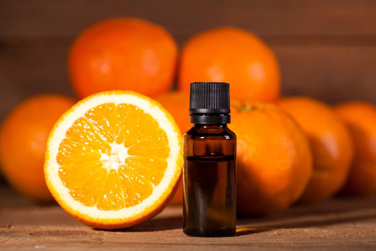 óleo essencial de laranja doce e seus benefícios
