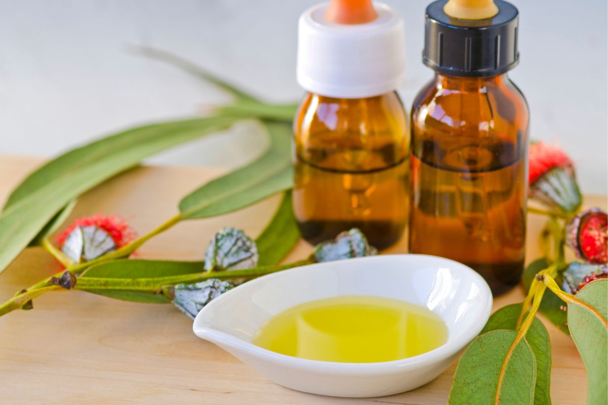 óleo essencial de eucalipto aromaterapia