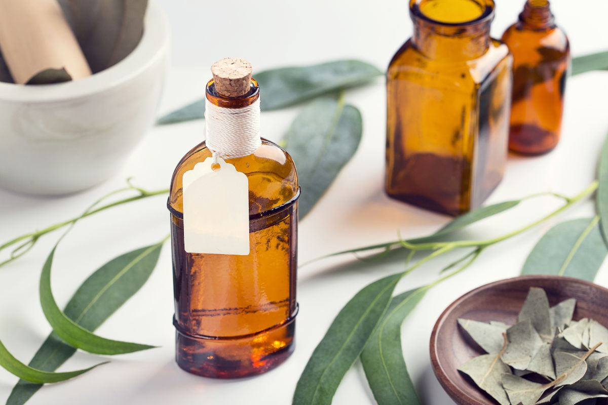 óleo essencial de eucalipto aromaterapia